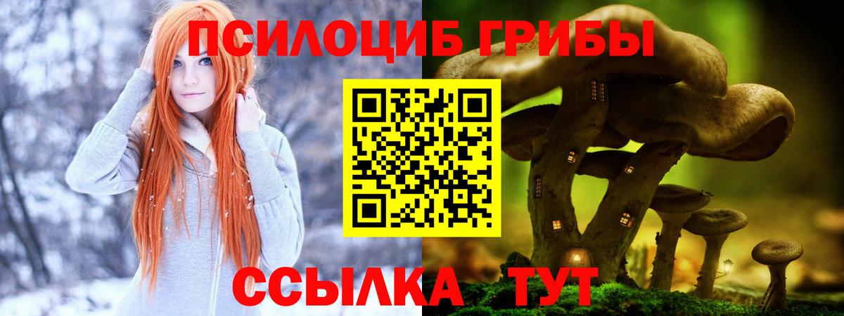 Галлюциногенные грибы мицелий  Галлюциногенные грибы MAGIC MUSHROOMS  Вход с VPN  наркотики  Тайшет 